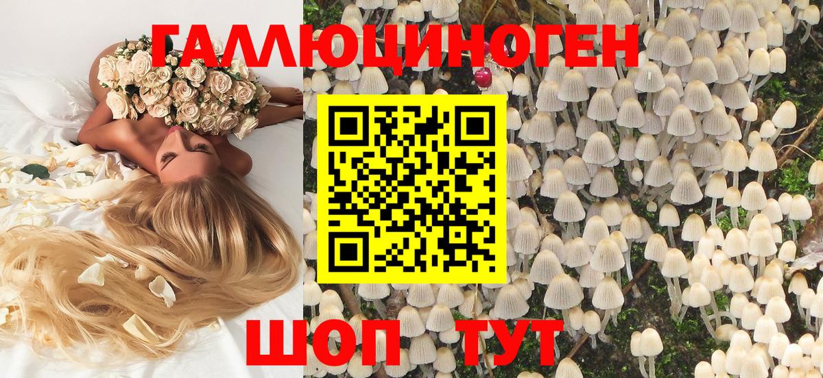 Псилоцибиновые грибы мицелий Иваново