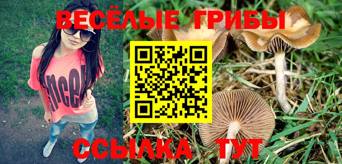 Иваново  Галлюциногенные грибы GOLDEN TEACHER  Галлюциногенные грибы Psilocybe  Вход с VPN 